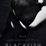 Blackfish